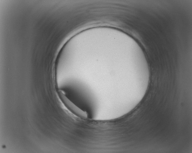 X0000080801516200701122201