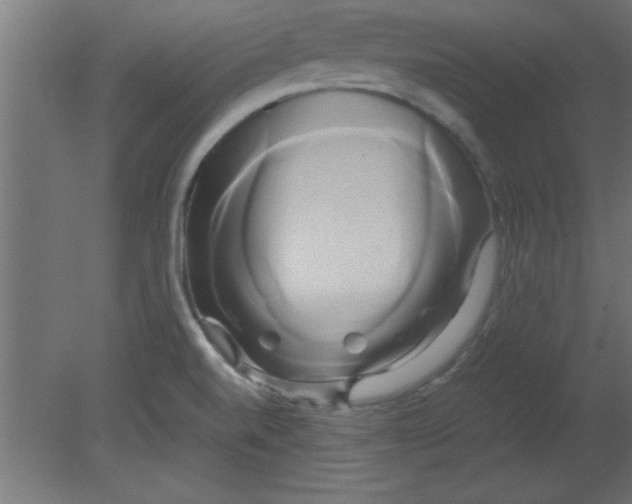X0000080801520200701122201