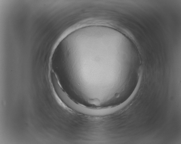 X0000080801528200701122201