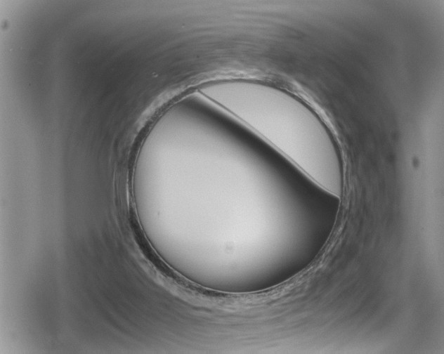X0000080810011200612151109
