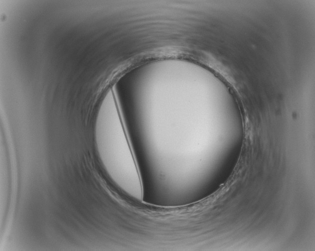 X0000080810013200612151109