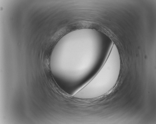 X0000080810045200612151109