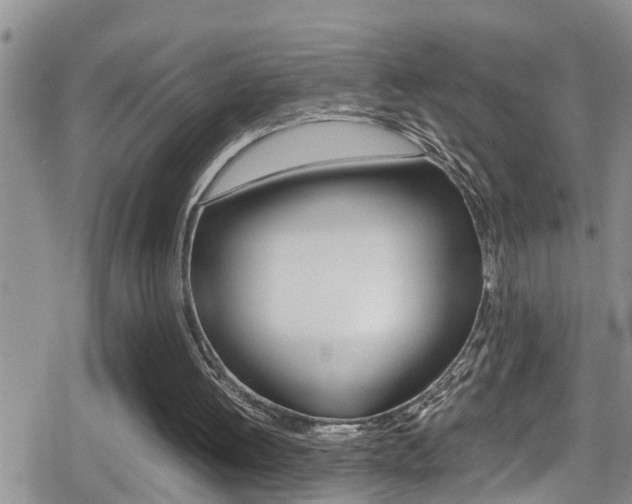 X0000080810052200612151108