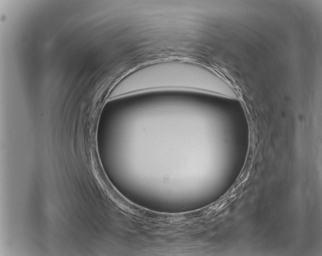 X0000080810097200612151108