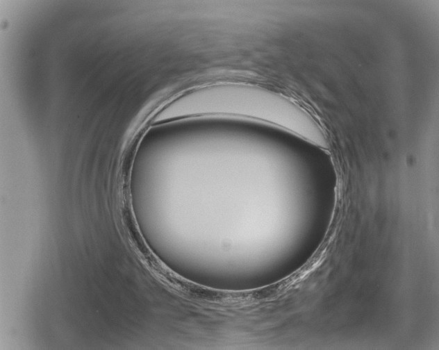 X0000080810101200612151108