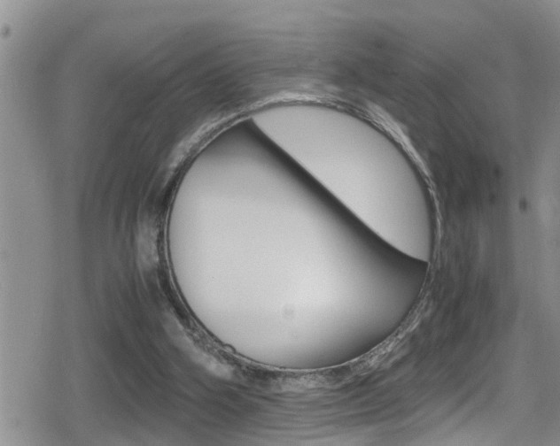 X0000080810106200612151108