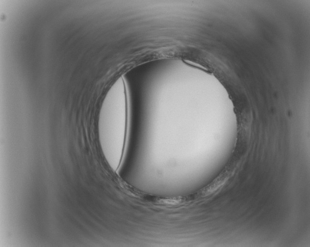 X0000080810139200612151107