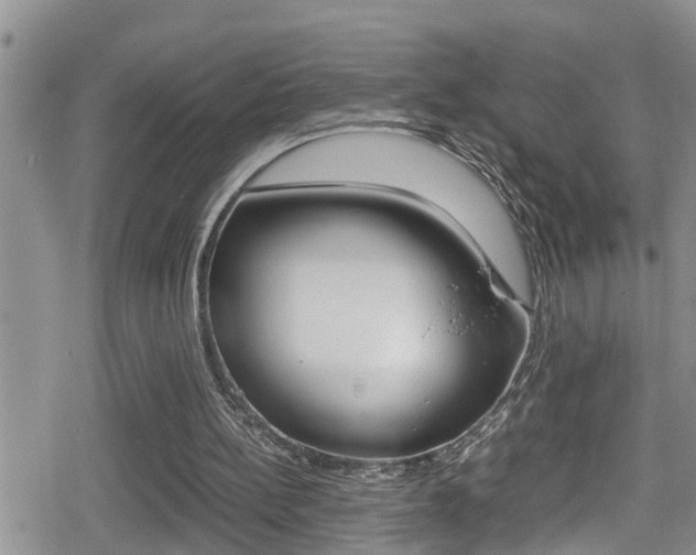 X0000080810148200612151106