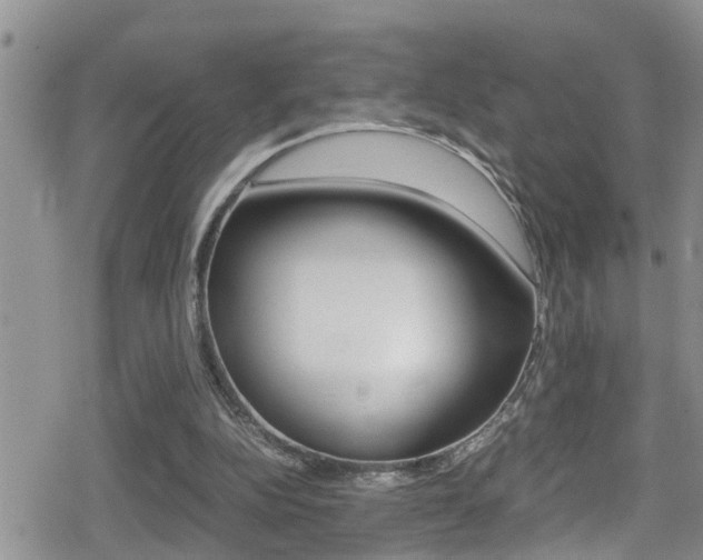 X0000080810152200612151106