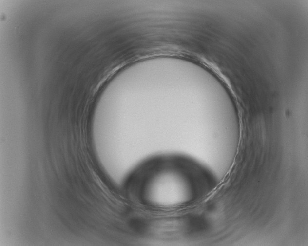X0000080810154200612151106