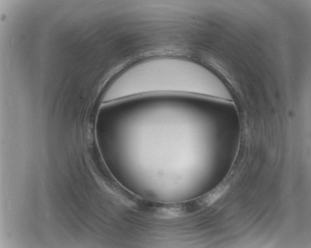 X0000080810164200612151107
