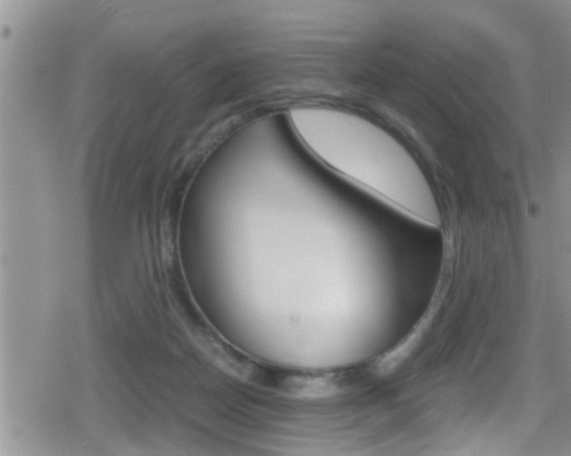 X0000080810170200612151107