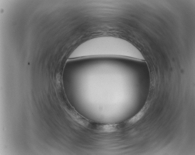 X0000080810184200612151107