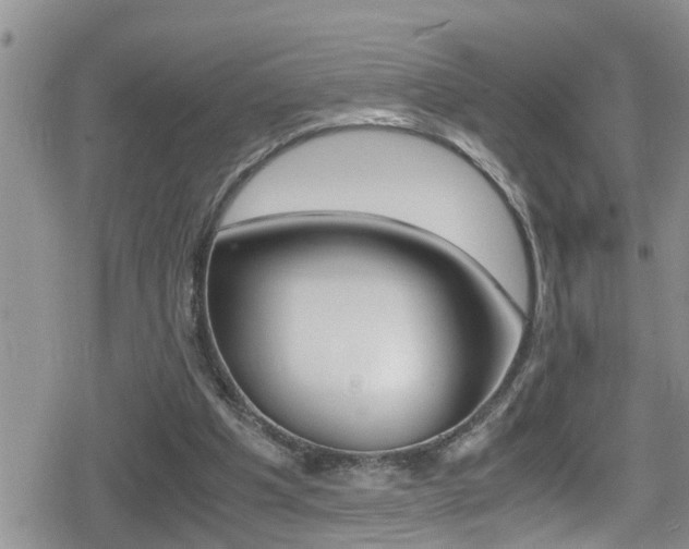 X0000080810201200612151106