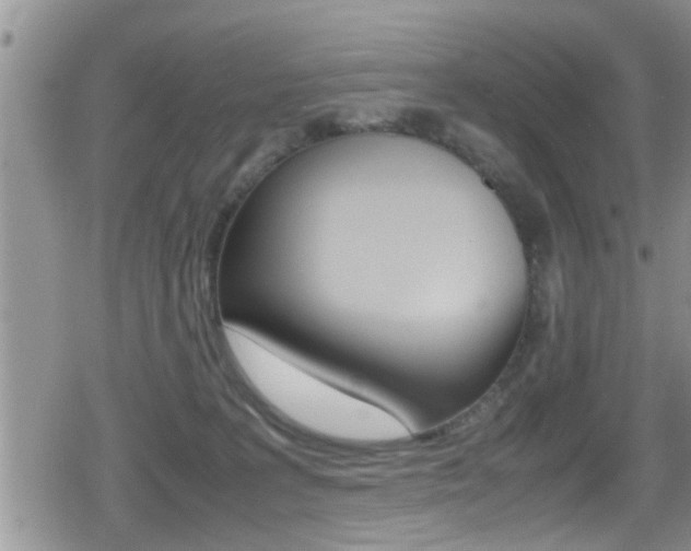 X0000080810227200612151106