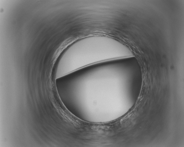 X0000080810242200612151105