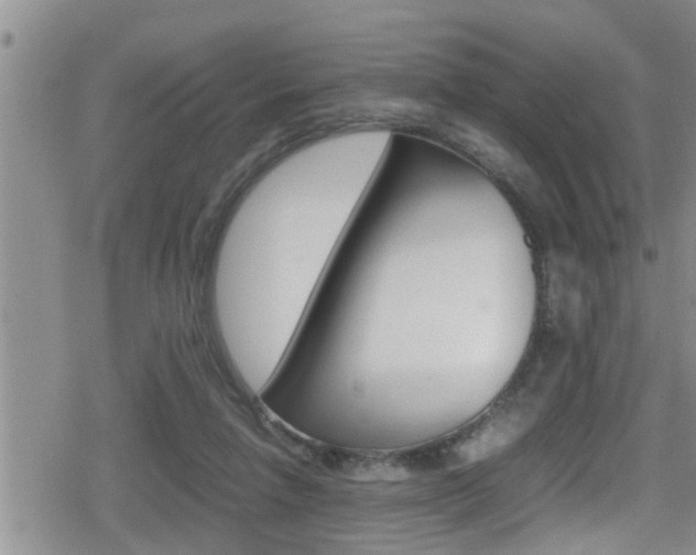 X0000080810258200612151105