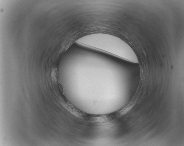X0000080810286200612151105