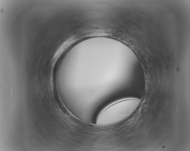 X0000080810296200612151104