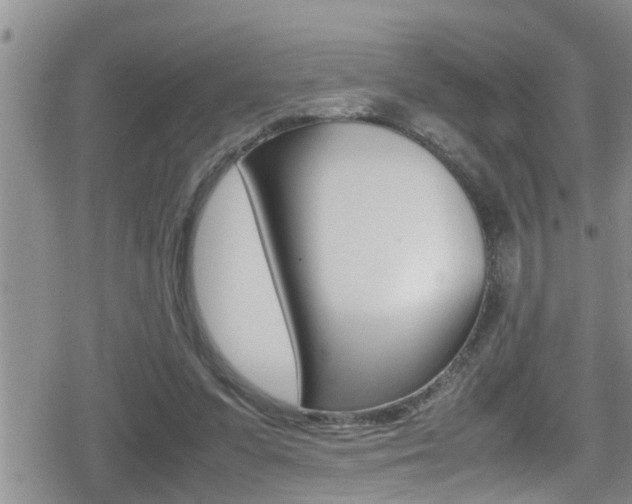 X0000080810303200612151104