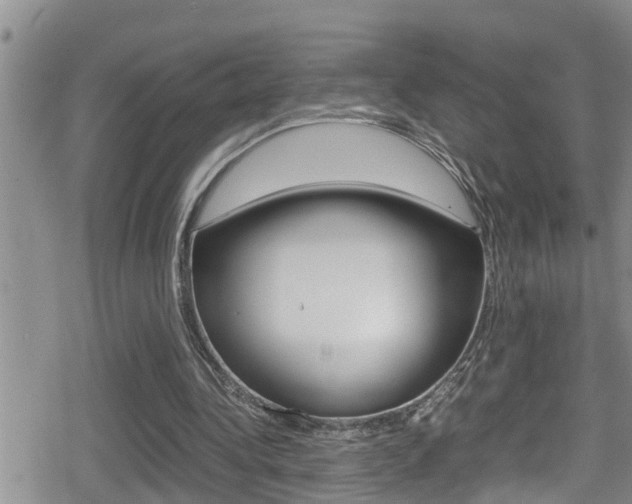 X0000080810340200612151103