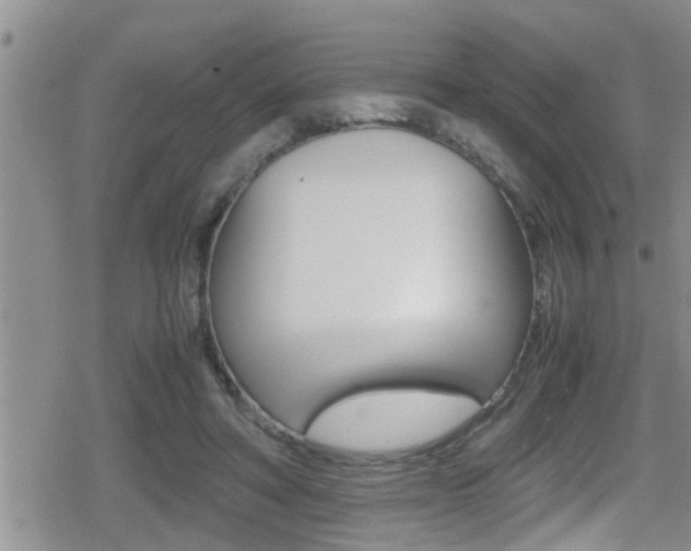 X0000080810402200612151103