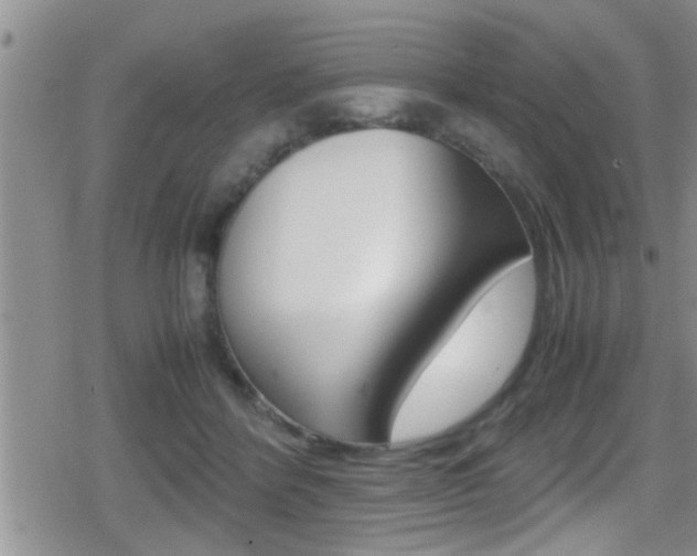 X0000080810412200612151103