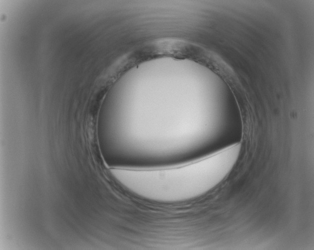 X0000080810413200612151103
