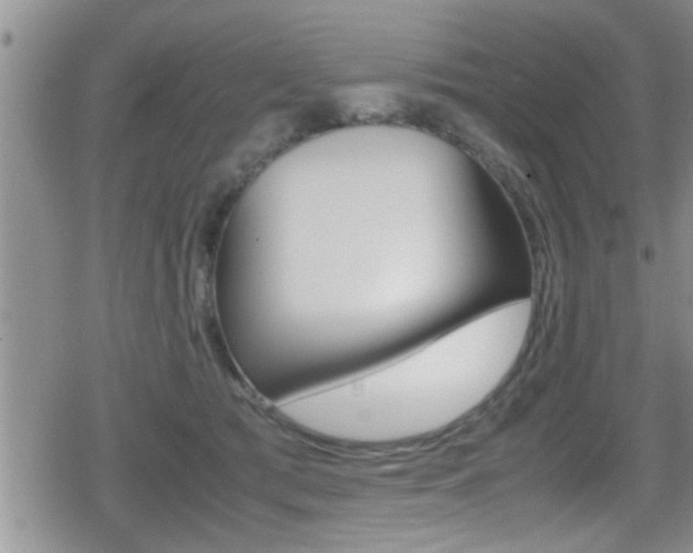 X0000080810417200612151103