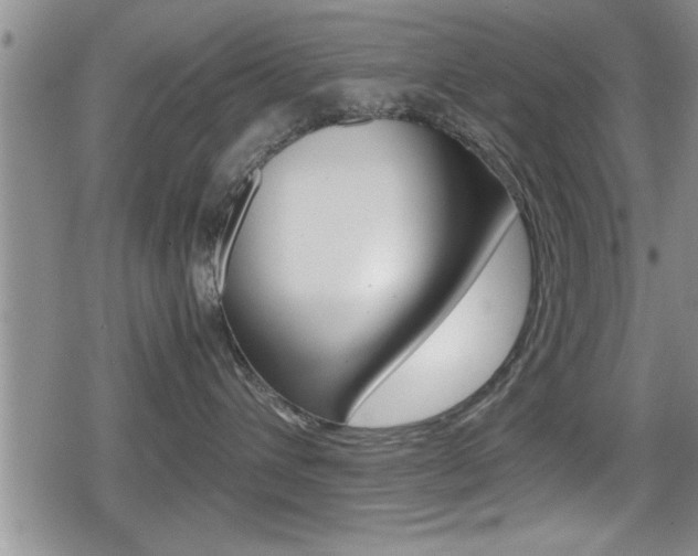X0000080810432200612151102
