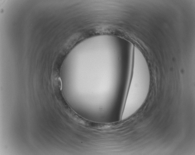 X0000080810513200612151101