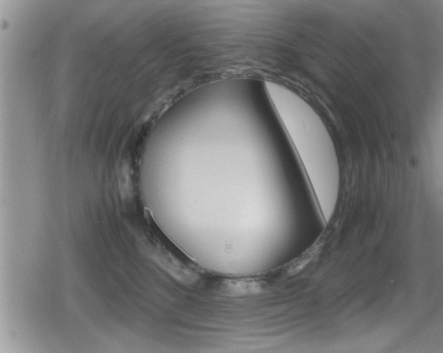 X0000080810520200612151101