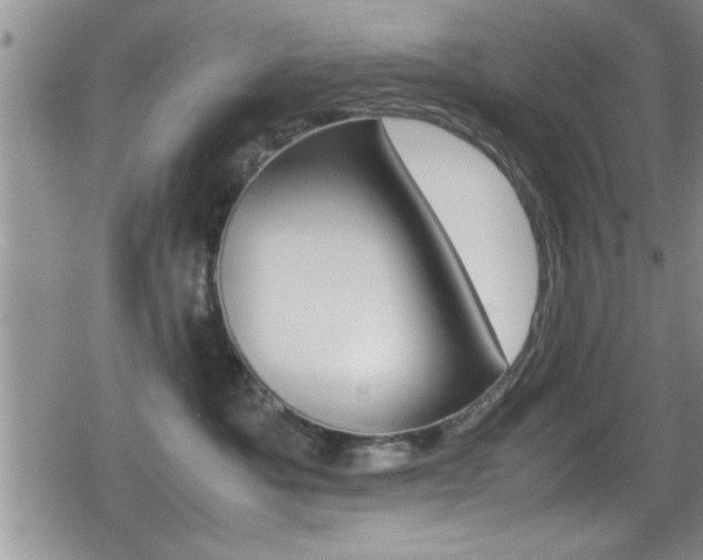 X0000080810525200612151101