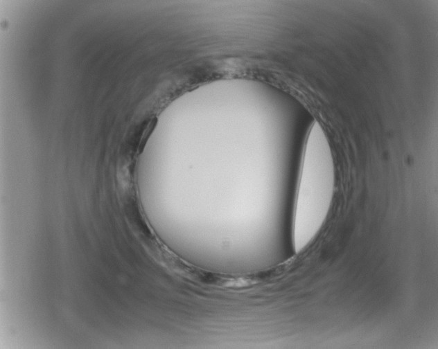 X0000080810611200612151059