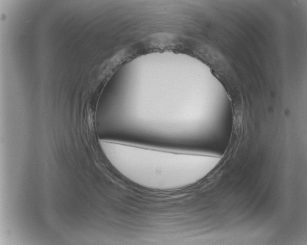 X0000080810623200612151059