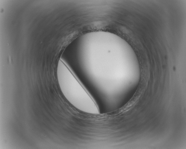 X0000080810624200612151059