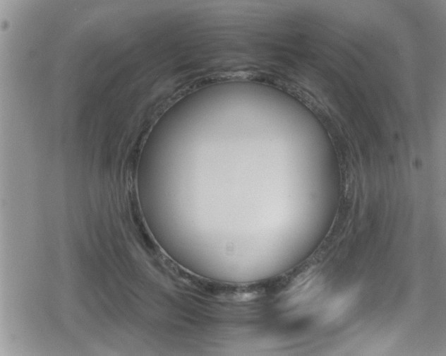X0000080810647200612151059