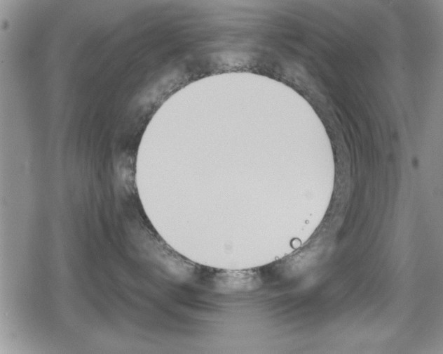 X0000080810672200612151059