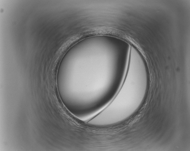 X0000080810673200612151058