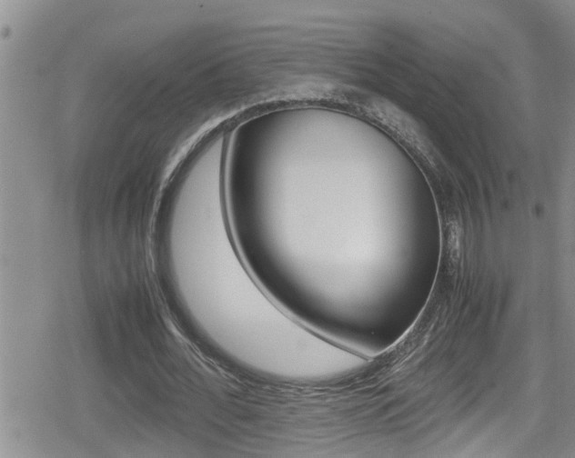 X0000080810676200612151058