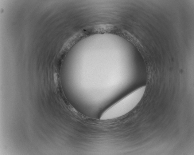X0000080810716200612151058