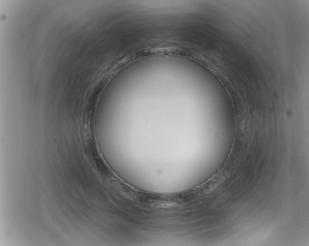 X0000080810743200612151057
