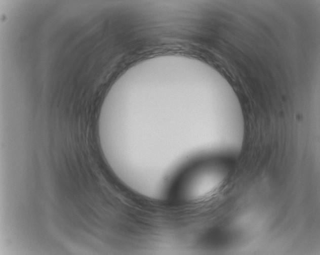 X0000080810750200612151057