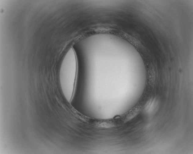 X0000080810755200612151057