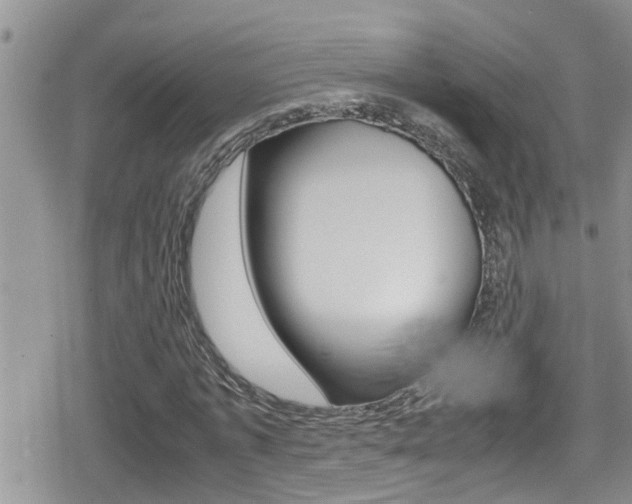 X0000080810773200612151057