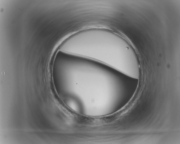 X0000080810787200612151056