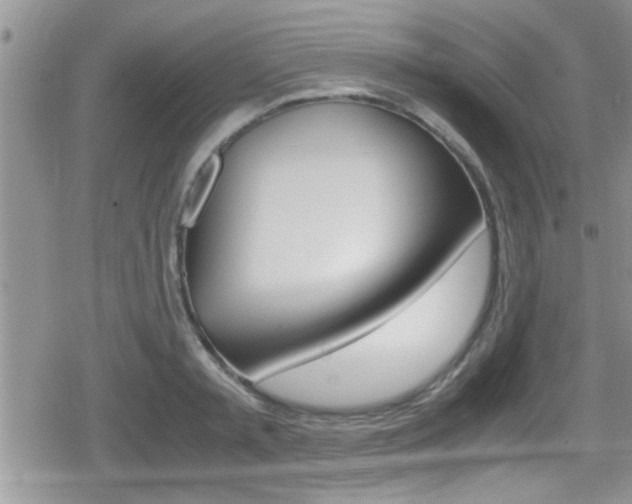 X0000080810797200612151056