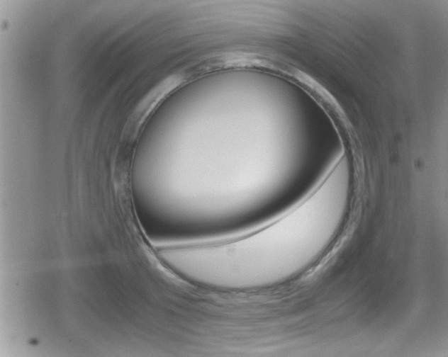 X0000080810801200612151056