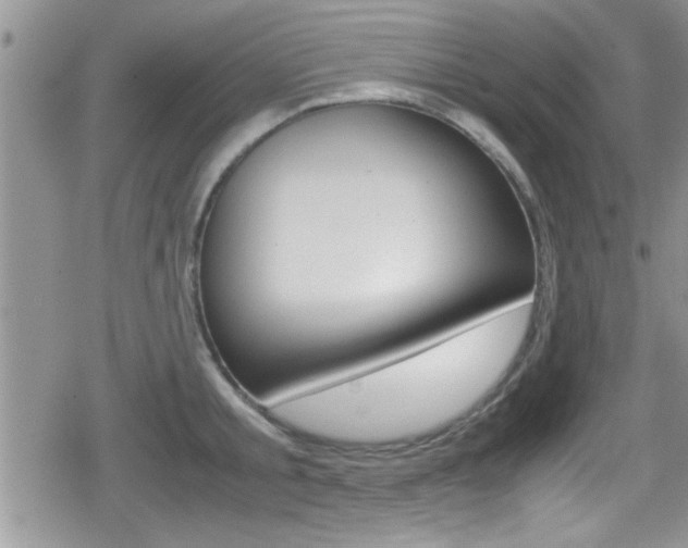 X0000080810805200612151056