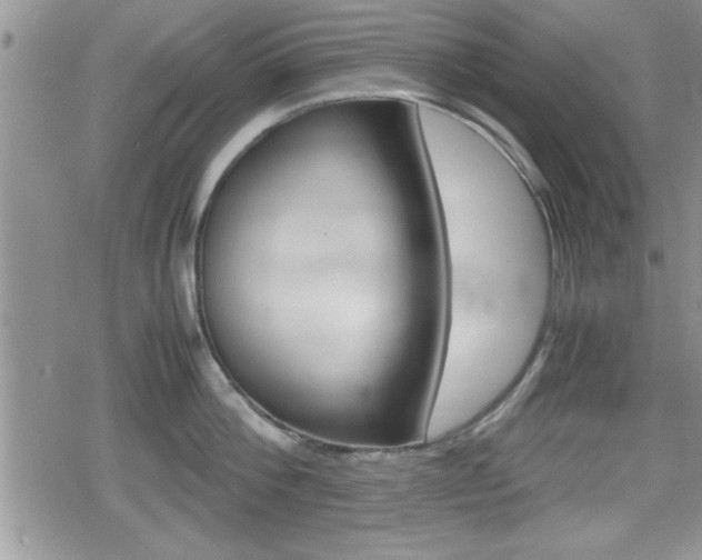 X0000080810812200612151056